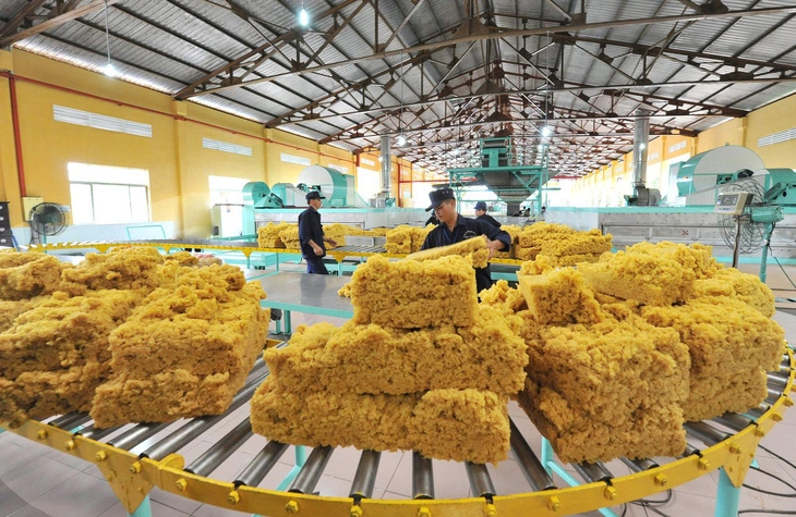 Tập đoàn Công nghiệp cao su Việt Nam (VRG) thông tin